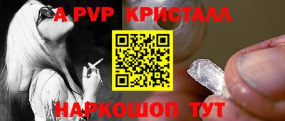 дмт Гудермес