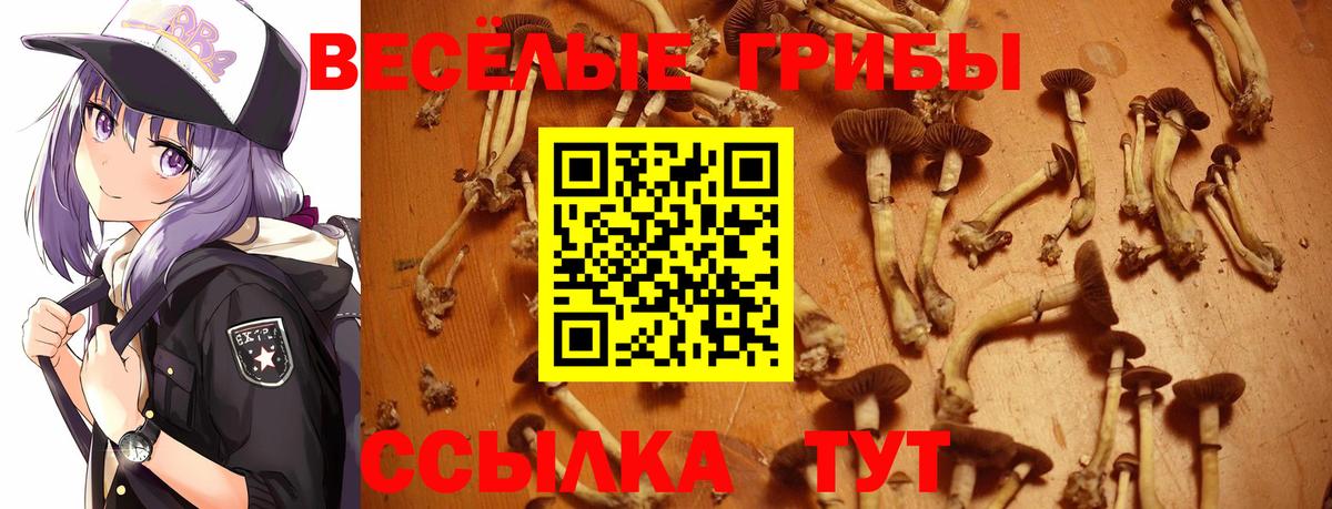 МЕФ   МДМА  Альфа ПВП СОЛЬ кристаллы  Бор  ГАШИШ  Вход с VPN  Марихуана  Гашиш 