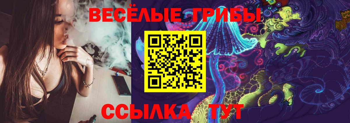 Псилоцибиновые грибы Psilocybe Бор